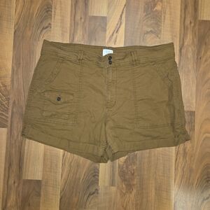 Brown Time and Tru shorts, size 18
